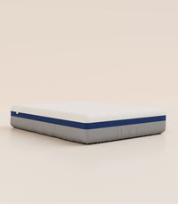 Protège Matelas Grand Ours