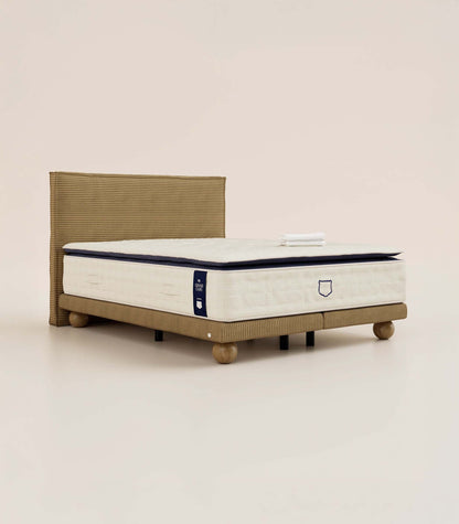 Pack Grand Ours Lit Grand Ours-Velours Havane-Lit Céleste - Ronde