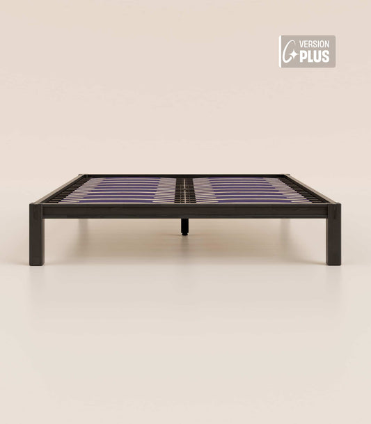 #fr#Bois noir|Plus